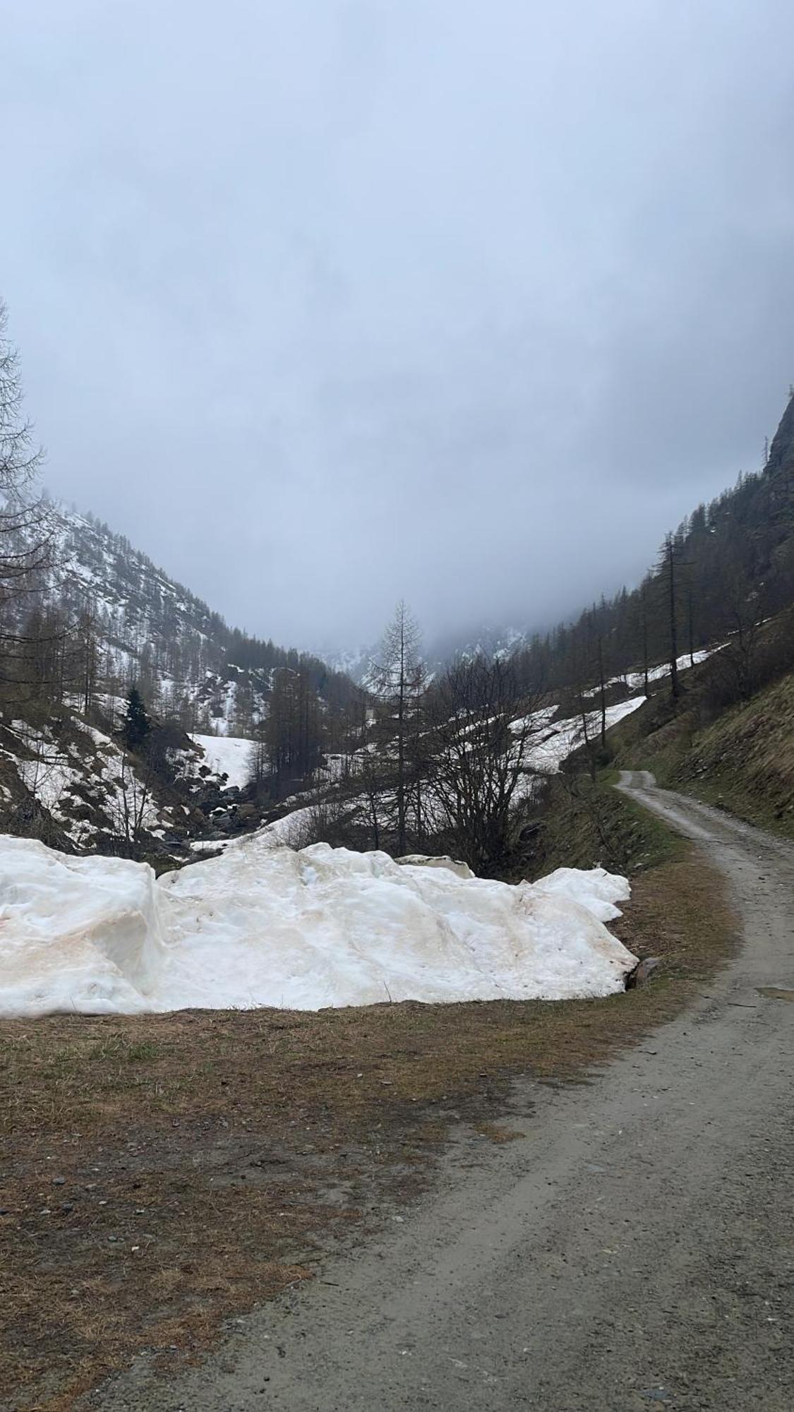 Asso Laghi Di Como Appartamento Di Licinia E Mario מראה חיצוני תמונה
